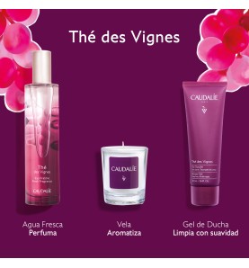 CAUDALIE COFRE THE DES VIFNES 2025